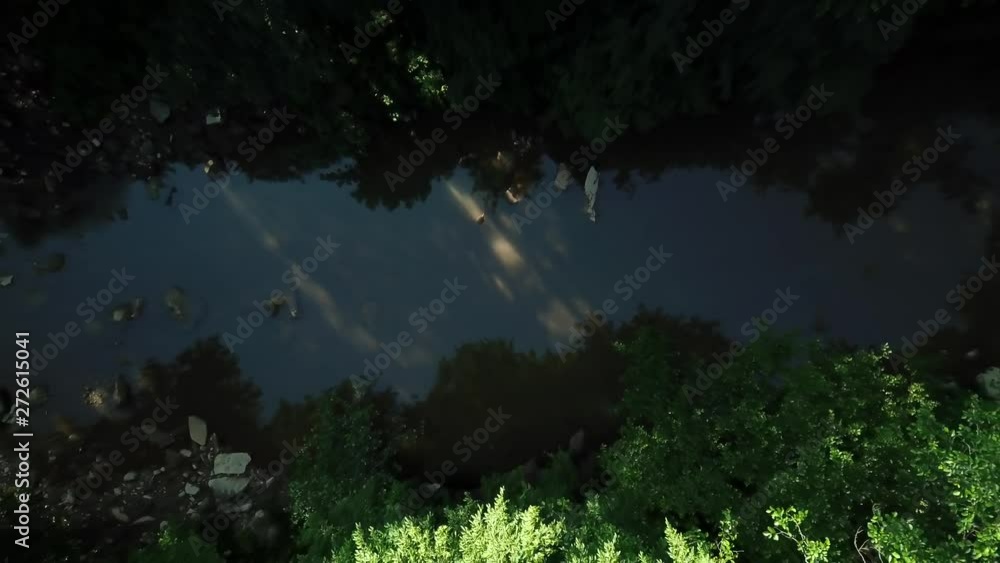 Flying above calm river flows and densely growing trees Flying above calm river flows and densely growing trees