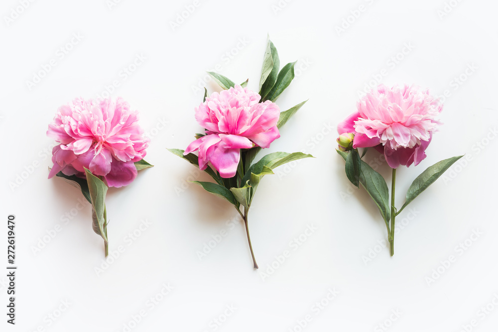 Obraz premium Set of pink peony flowers on white. Creative minimal flat lay. Top view. 