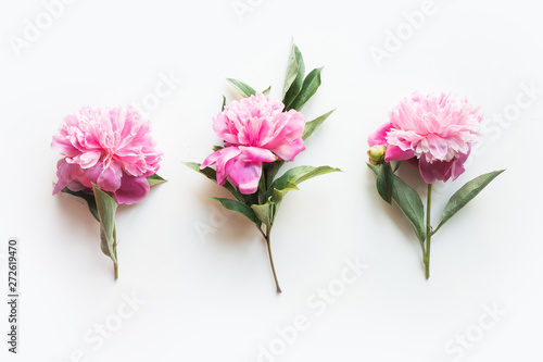 Fototapeta Naklejka Na Ścianę i Meble -  Set of pink peony flowers on white. Creative minimal flat lay. Top view. 