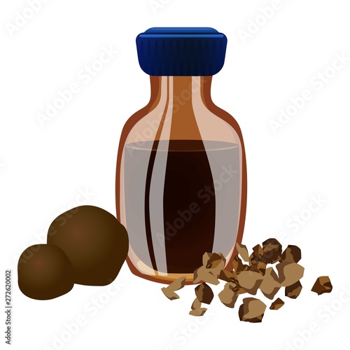Propolis bottle icon. Cartoon of propolis bottle vector icon for web design isolated on white background
