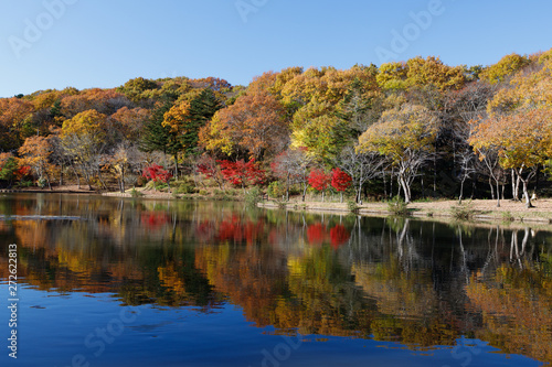 北山公園の紅葉