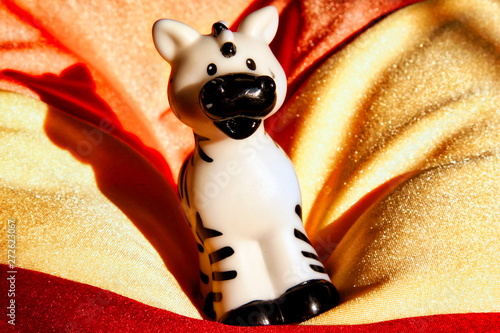 Baby Zebra Golden Background In The Sun