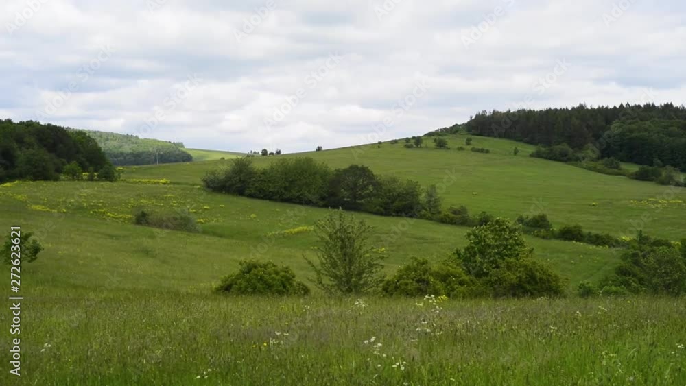 Meadow landscape with tree wood forest green grass cloudy Meadow landscape with tree wood forest green grass cloudy