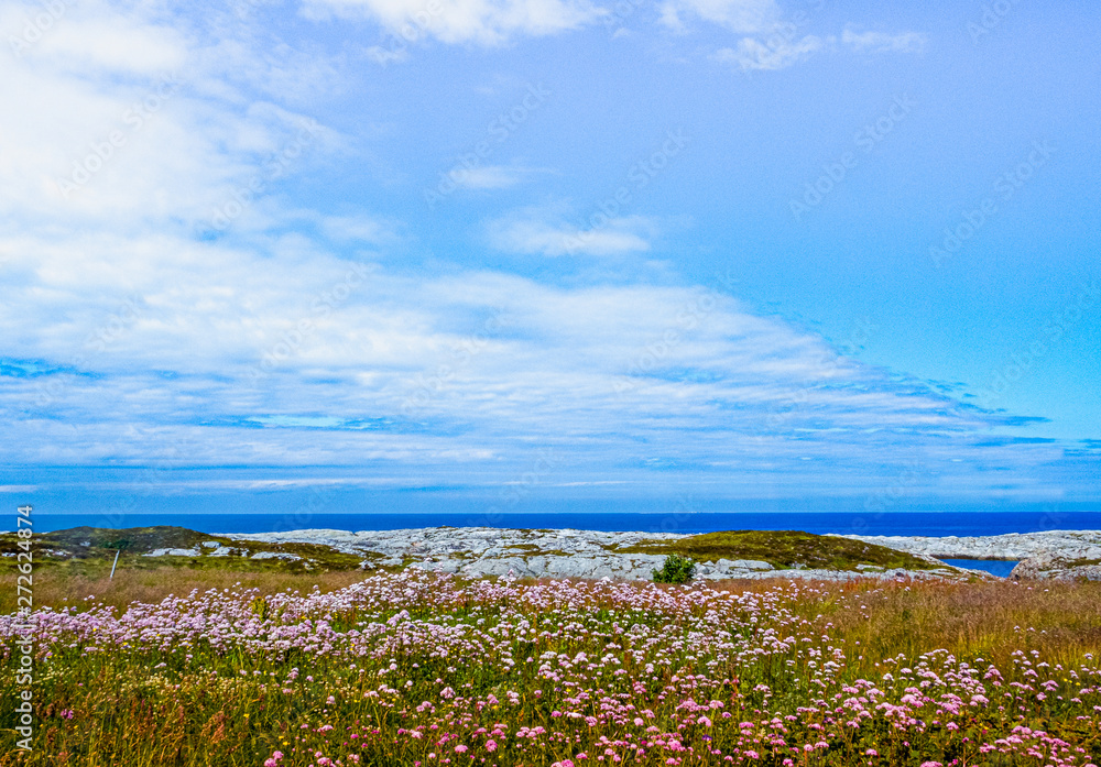 Seascape with Wild Flowers in the foreground