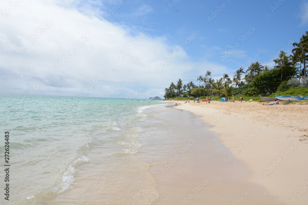 tropical beach