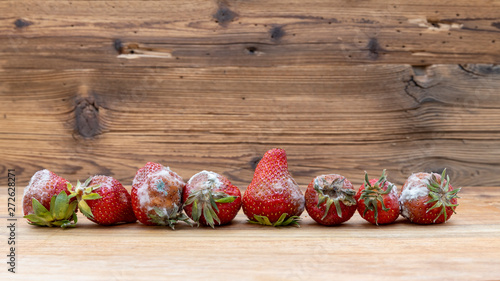 Canvastavla schimmlige Erdbeeren in einer Reihe vor altem Holz