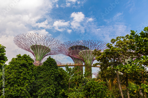 Singapore, APRIL 25 - 2019 - The Supertrees At Gardens By The Bay In Singapore © czamfir