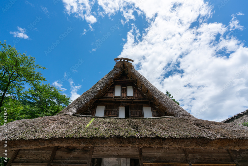 初夏の五箇山　菅沼集落