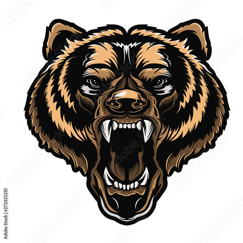 Angry bear face vector illustration. Furious angry face of bear with open mouth and terrible teeth as symbol of strength and aggressiveness. Grunge style  print for sport wear.