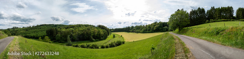 Panorama Landschaft im Sauerland mit Landstrasse