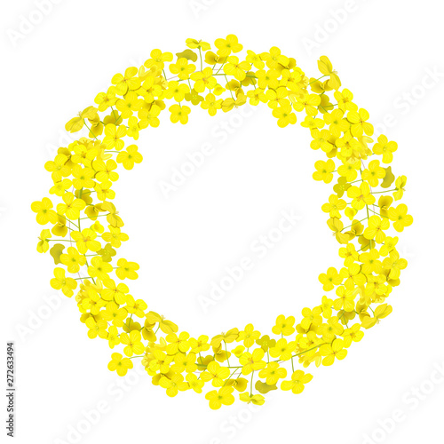 Canola wreath Rapeseed garland blossom flowers card. template copy space text. Flowering colza chaplet.