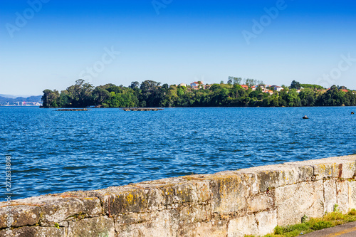 Littoral forest in Abanqueiro village photo