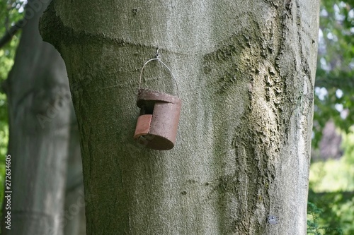 Nistkasten im Stadtpark Steglitz photo