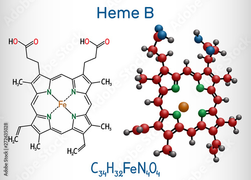 Heme B, haem B, protoheme IX molecule. It is component of hemoglobin, myoglobin, peroxidase and cyclooxygenase families of enzymes. Structural chemical formula and molecule model photo