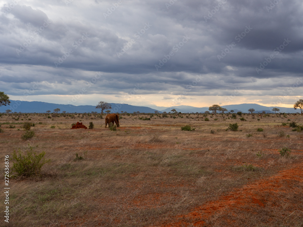 Landscape of Tsavo East National Park, Kenya Landscape of Tsavo East National Park, Kenya