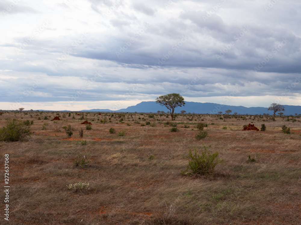 Landscape of Tsavo East National Park, Kenya Landscape of Tsavo East National Park, Kenya
