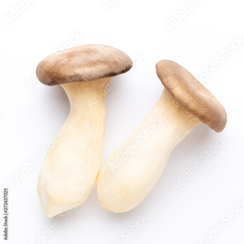 King oyster mushroom on white background.