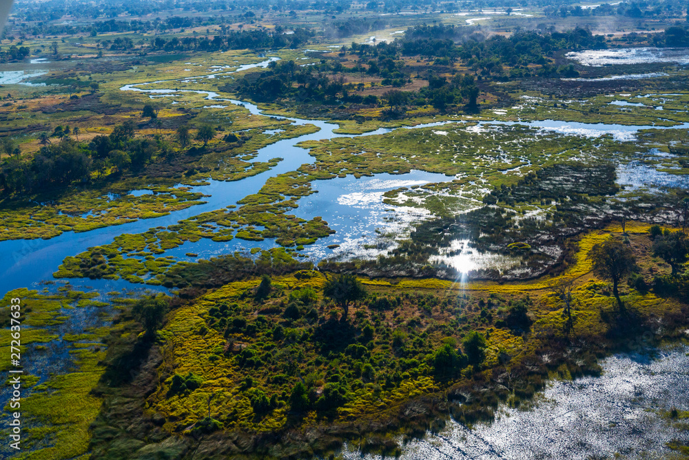 Okavango Delta, Botswana, Africa - obrazy, fototapety, plakaty 