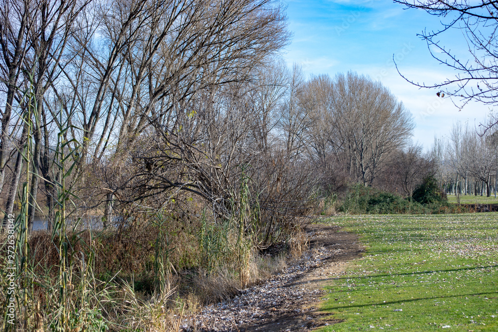 Nature and green colors landscape almost winter Nature and green colors landscape almost winter