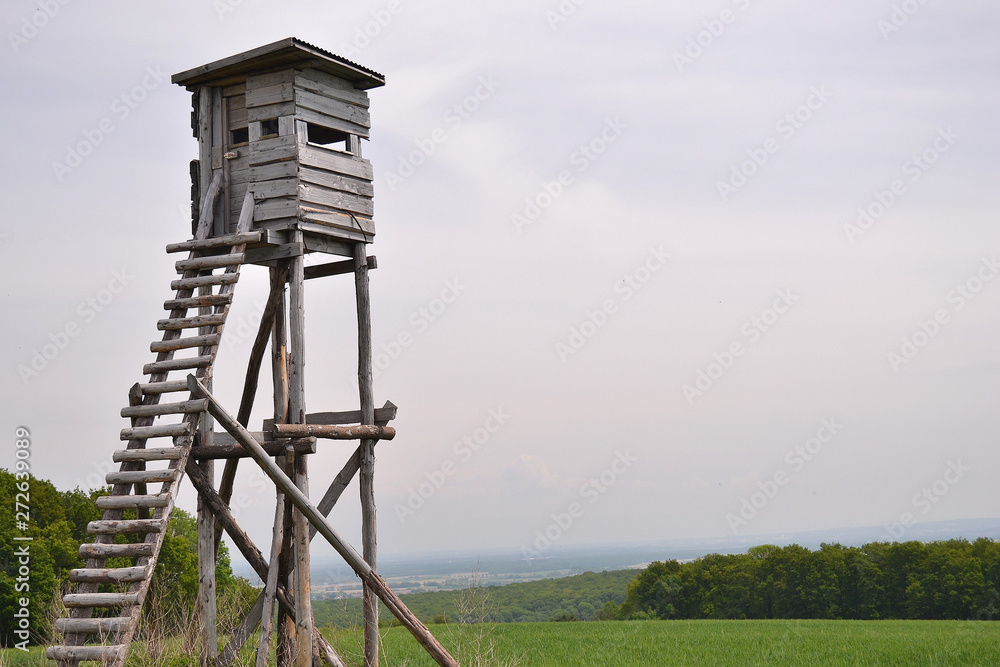 mirador, tour de guet en bois pour chasseurs, structure en bois, Alsace, France mirador, tour de guet en bois pour chasseurs, structure en bois, Alsace, France