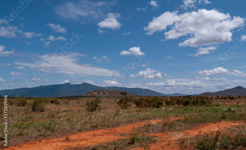 Landscape of Tsavo East National Park, Kenya