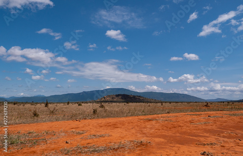 Landscape of Tsavo East National Park  Kenya