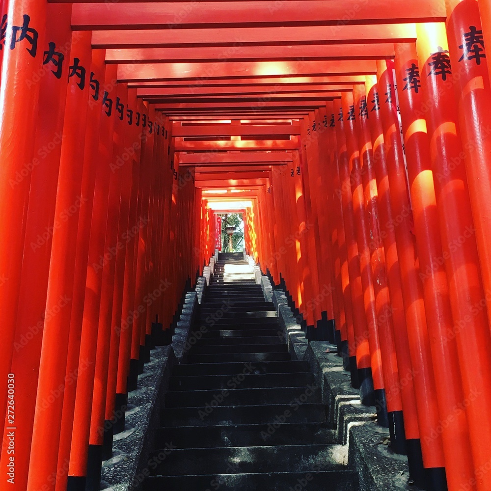 Fototapeta premium Reebooooo