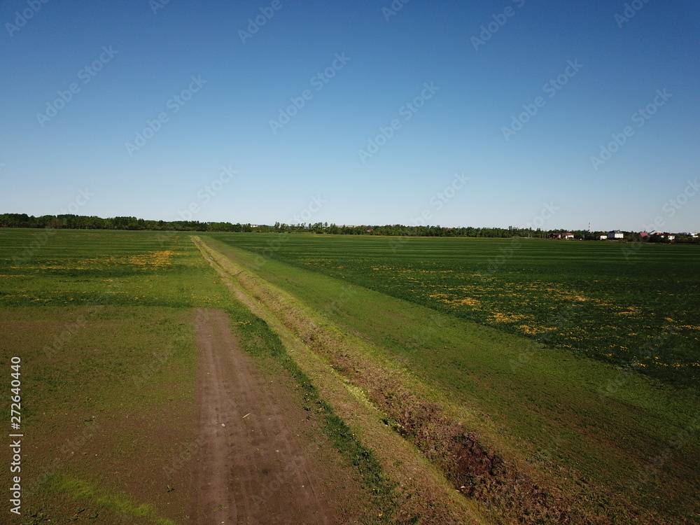 rural road in the field