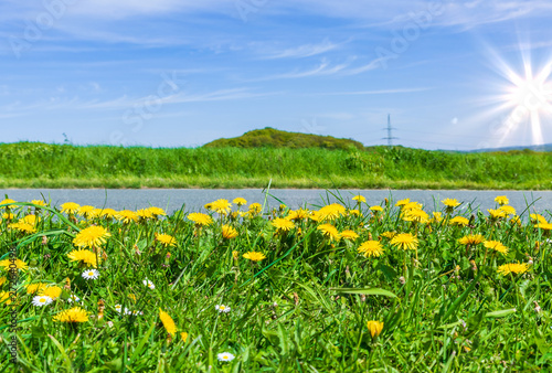 Landstraße im Frühling bei Sonne