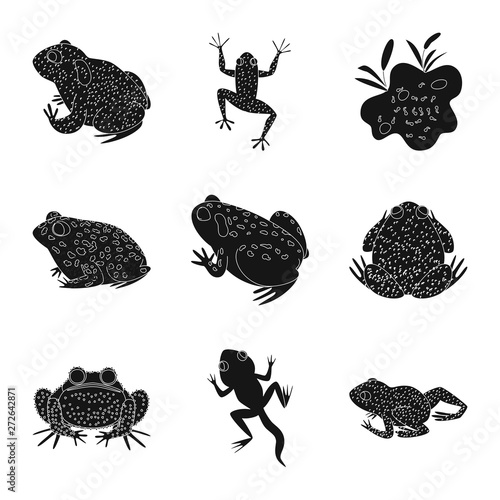 Obraz na plátně Vector design of fauna and reptile icon