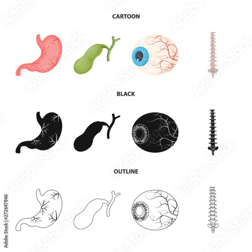 Vector illustration of body and human symbol. Collection of body and medical stock symbol for web.