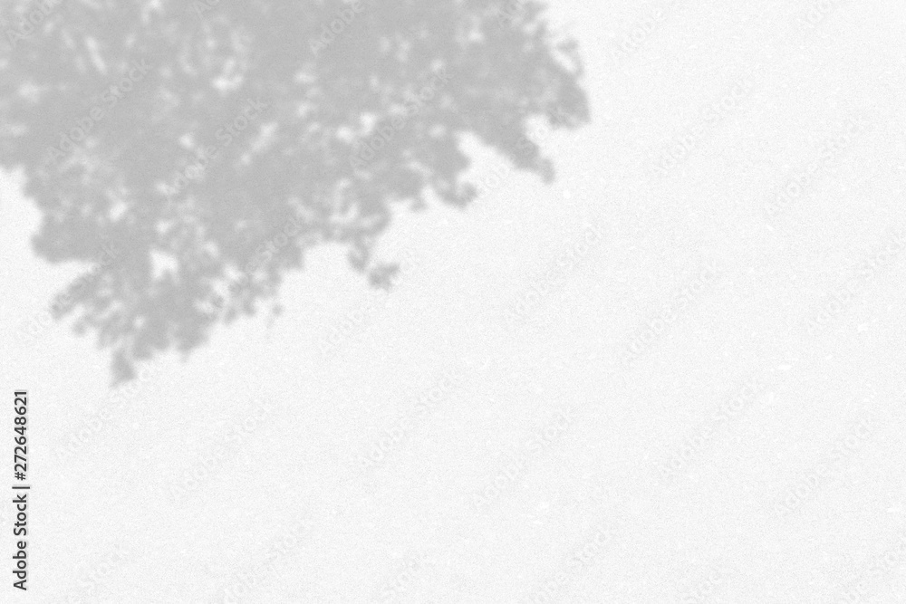 Fototapeta premium leaf shadows on a white wall