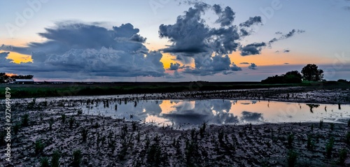 A sunset sunrise over a flooded farm field with storm clouds reflected in the standing water photo