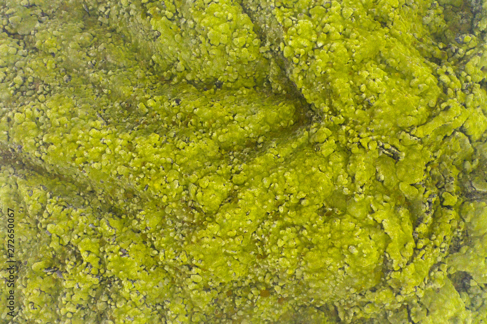 Aerial view of Eldhraun lava field in Iceland Aerial view of Eldhraun lava field in Iceland