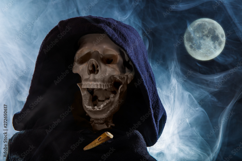 A skeleton with cape and hood symbolizes death. In the background in the dark night, the full moon and fog can be seen. Concept fantasy and horror. A skeleton with cape and hood symbolizes death. In the background in the dark night, the full moon and fog can be seen. Concept fantasy and horror.