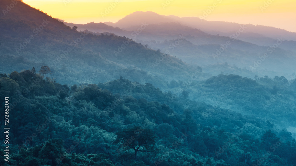 Obraz premium earth day and environment care travel concept from beautiful landscape of tropical forest with haze with soft focus of layer mountain background