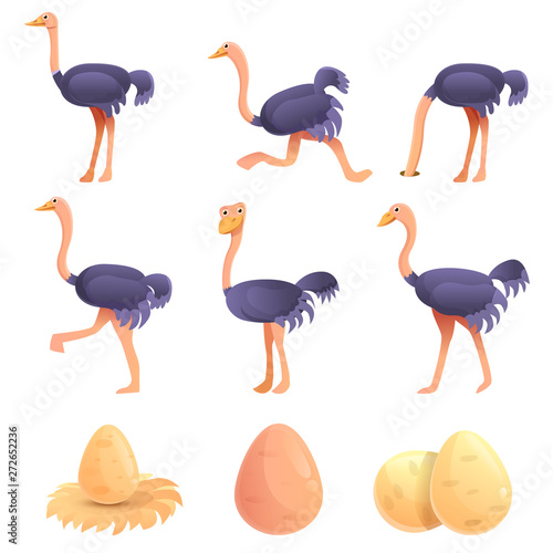 Ostrich icons set. Cartoon set of ostrich vector icons for web design