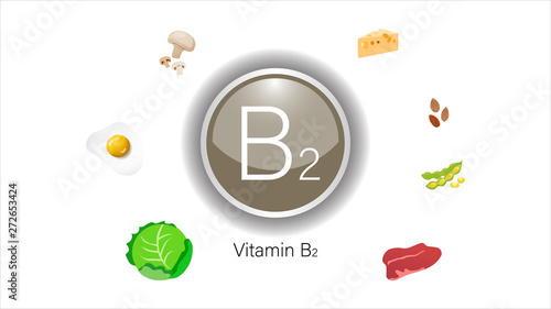 Vitamin B2 sources vector illustration