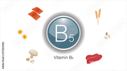 Vitamin B5 sources vector illustration