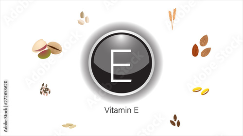 Vitamin E sources vector illustration