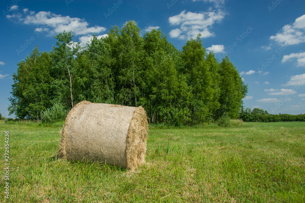 Single hay bale lying on a meadow, trees and blue sky