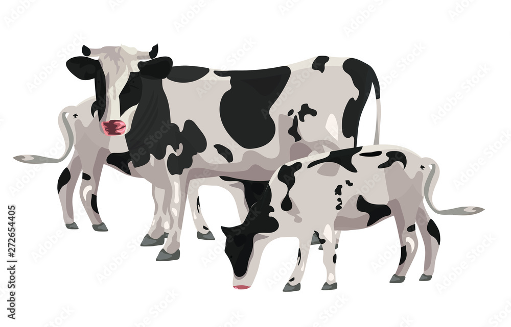 Cow on a white background. Vector graphics