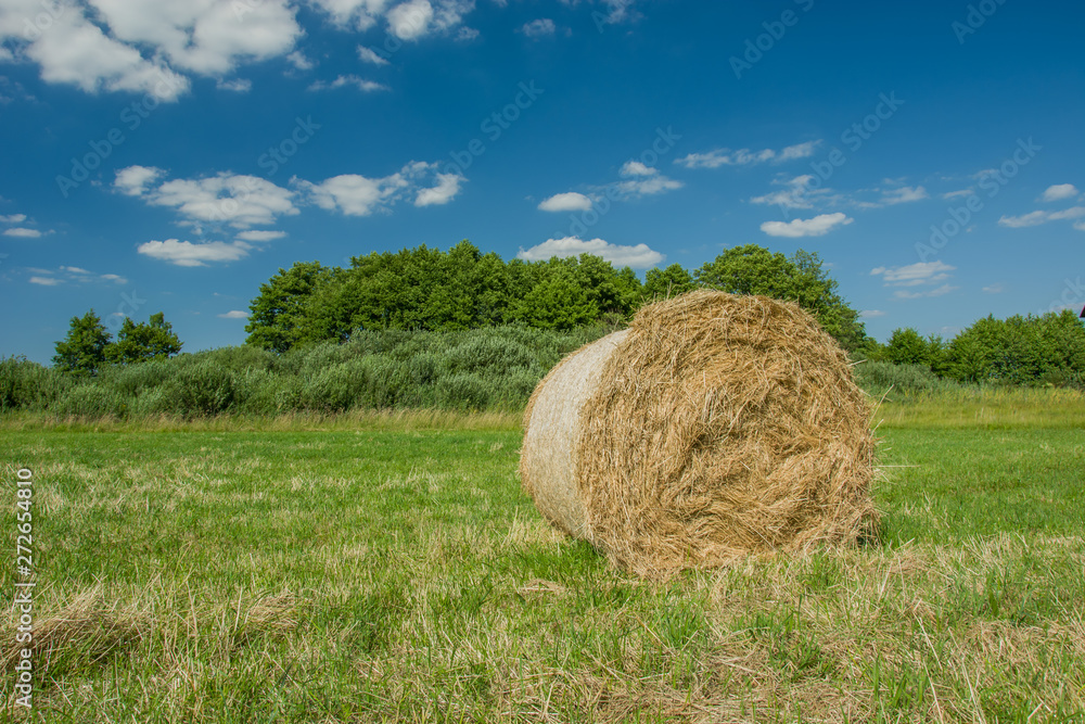 Hay bale lying in a meadow, trees and white clouds on a blue sky Hay bale lying in a meadow, trees and white clouds on a blue sky