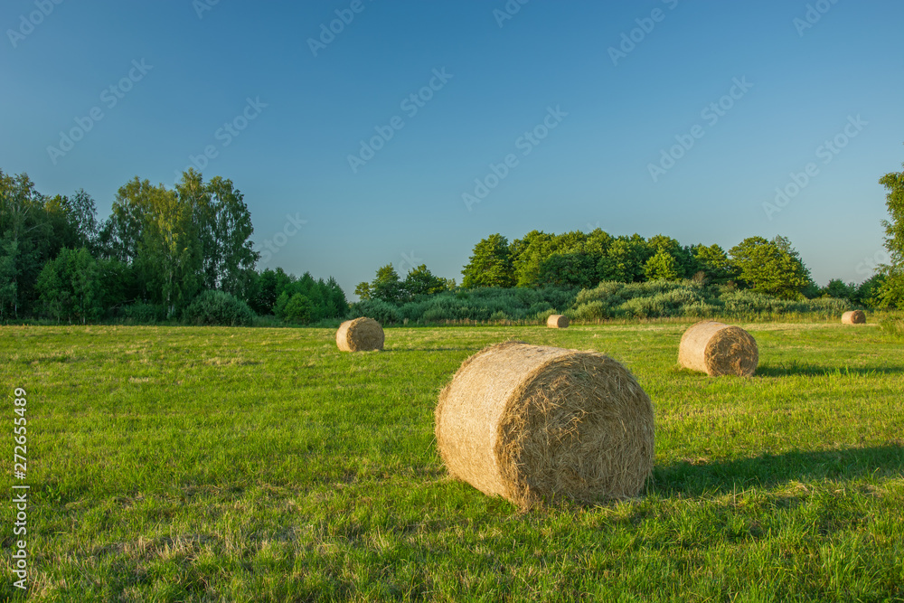 Hay bales lying in a meadow, green forest and clear sky