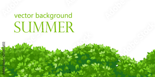 Seamless green? background bush leaves, vector