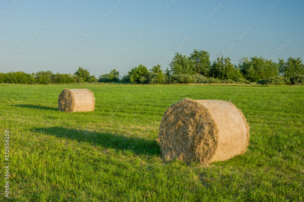 Two bales of hay on a sunlit meadow, trees and clear sky