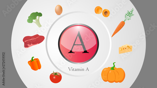Vitamin A sources vector illustration