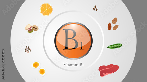 Vitamin B1 sources vector illustration