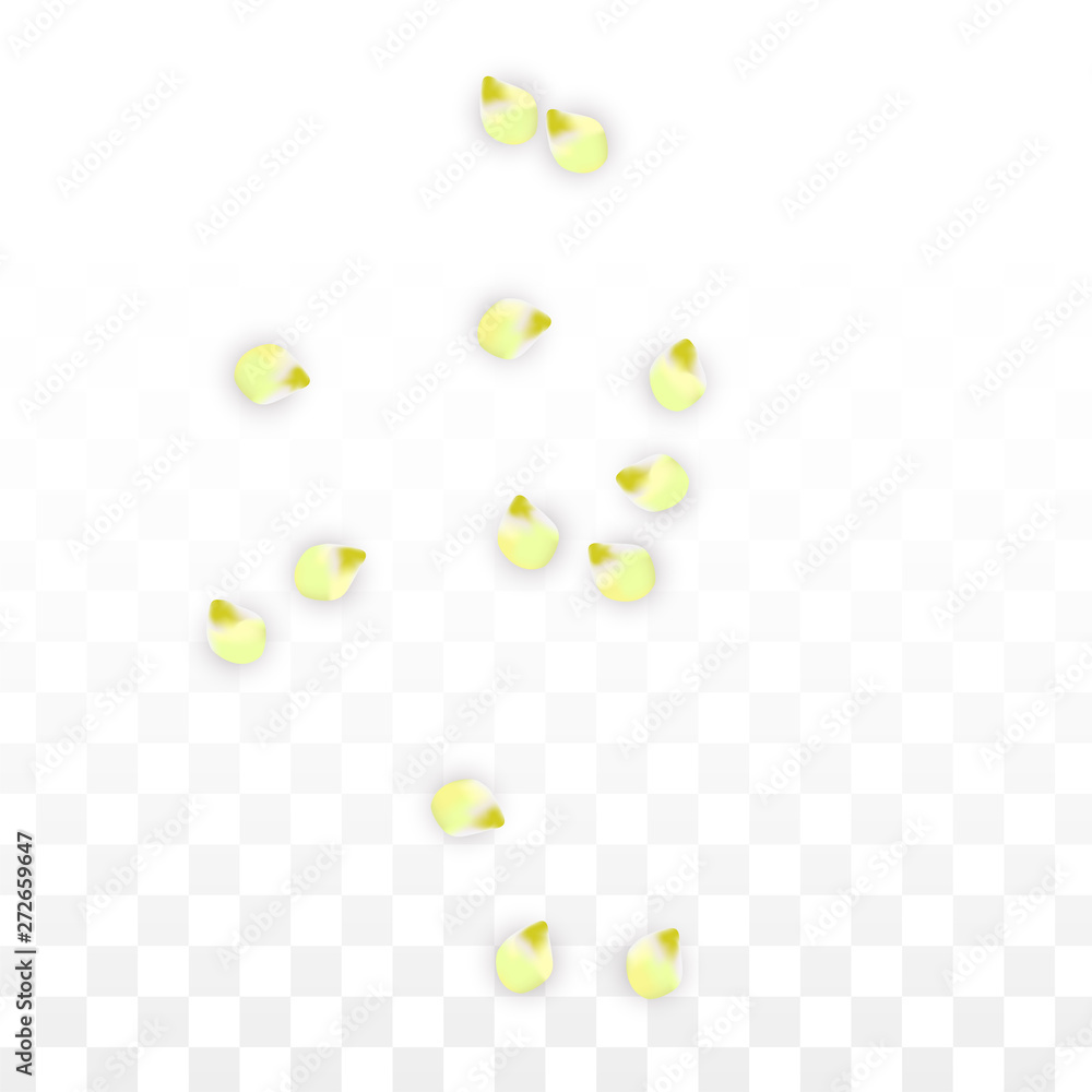 Vector Realistic Pink Petals Falling on Transparent Background. Spring Romantic Flowers Illustration. Flying Petals. Sakura Spa Design. Blossom Confetti. Vector Realistic Pink Petals Falling on Transparent Background. Spring Romantic Flowers Illustration. Flying Petals. Sakura Spa Design. Blossom Confetti.
