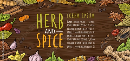 Circle shape set with HERB and SPICE. Set vector color engraving